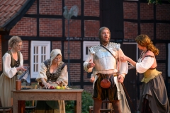 TfJ - DonQuijote 2014 (4)