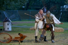 TfJ - DonQuijote 2014 (8)