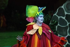 TfJ-Sommernacht2006 (38)