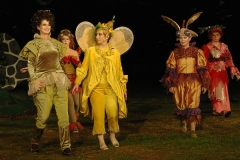 TfJ-Sommernacht2006 (82)